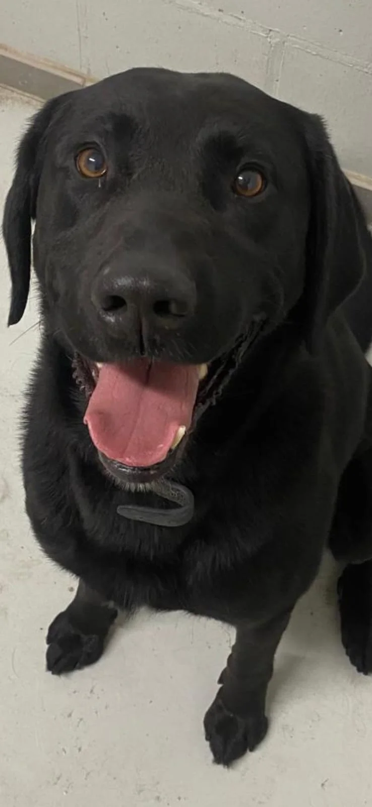 Tieki - gereserveerd