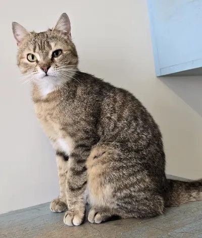 Lia, adopted
