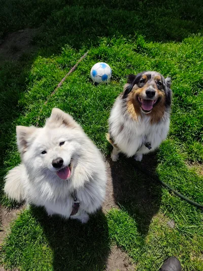 Duo adoptie: Ida en Alba, adopted