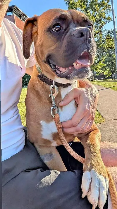 Gladys Boxer, adopted