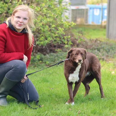 Pepper – Geadopteerd, adopted