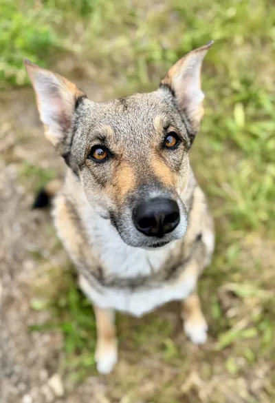 Sally, adopted