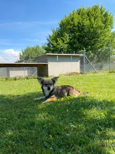 Alja, adopted