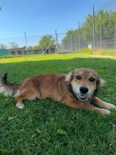 Rose, adopted