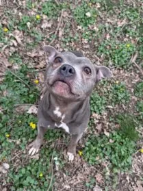 Athéna #Réservée, adopted