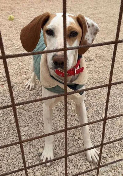 Bina, adopted