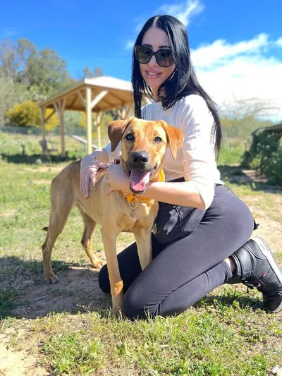 Lucky, adopted