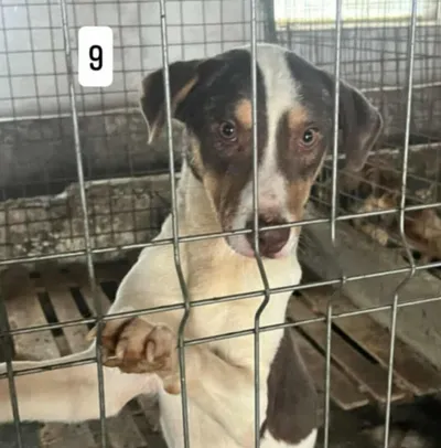 RICKY, adopted
