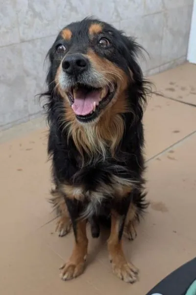 Alon, adopted