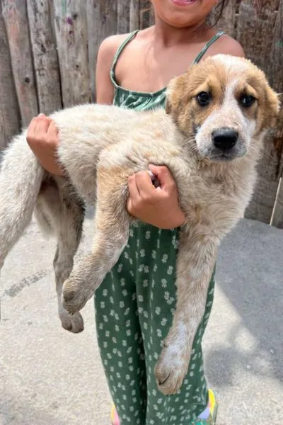 Raye, adopted