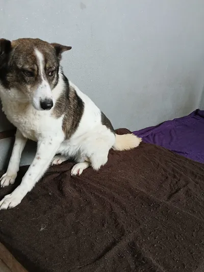 Speranza, adopted
