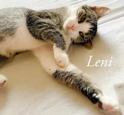 Leni, adopted