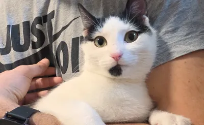 Marika, adopted