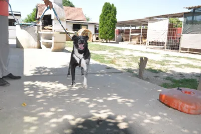 Mady (reserviert), adopted