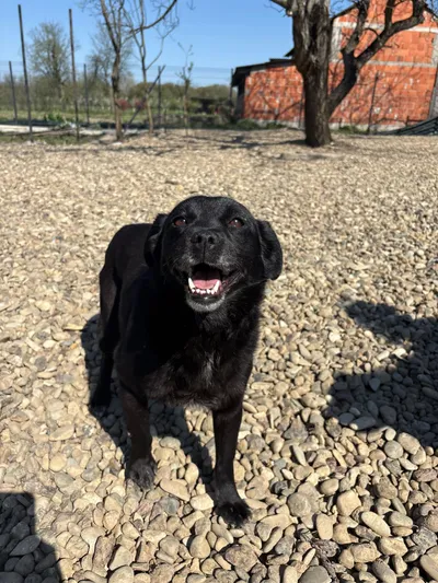 Debbie (reserviert), adopted