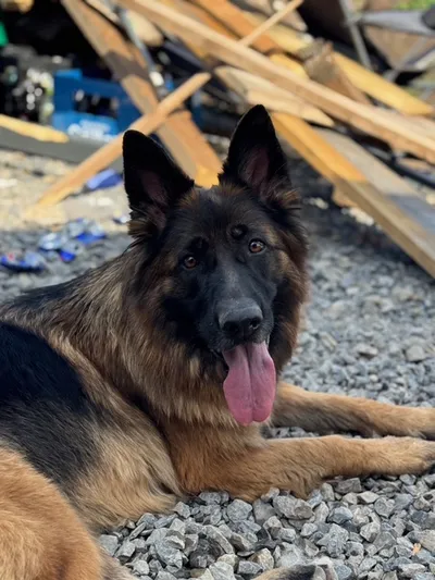 Nella ***reserviert***, adopted