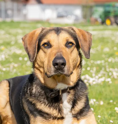 News-Ticker, adopted