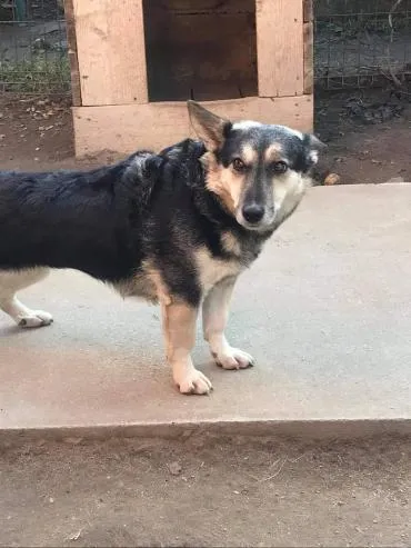 Süsse LUCY, adopted
