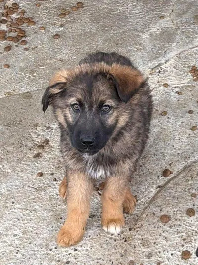 Taylor (m) – reserviert –, adopted
