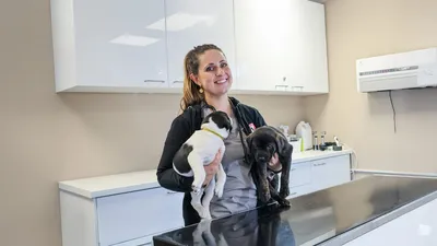Mikkel, adopted