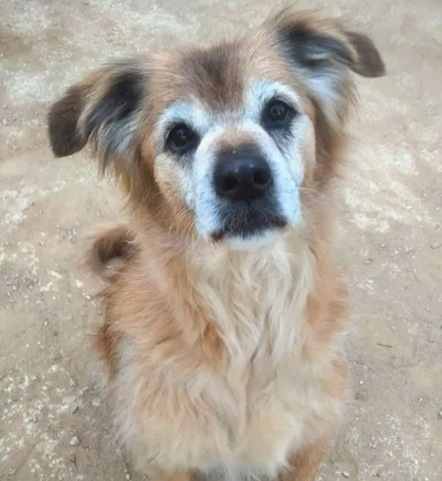 Chiara Reserved, adopted