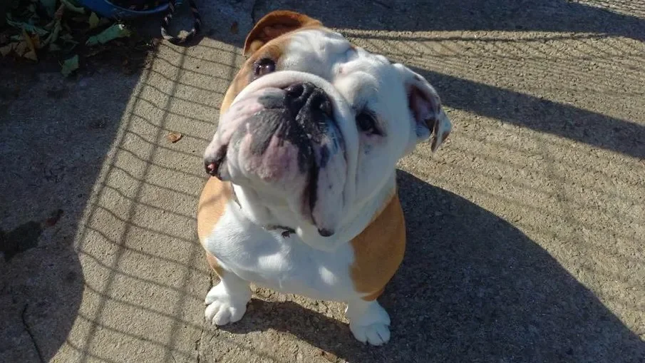 MUC'H QCN (réservé)