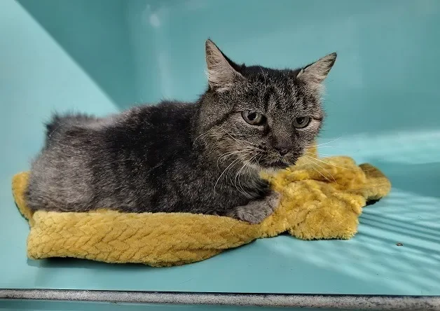 ARLETTE (réservée)