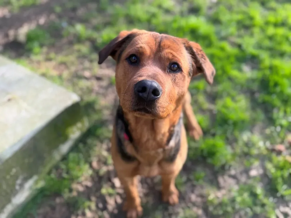 ZEUS OAA19949 (réservé)