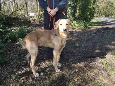 NOUKY réservé, adopted