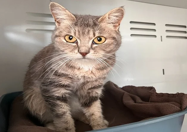 BLANDINE (réservée)