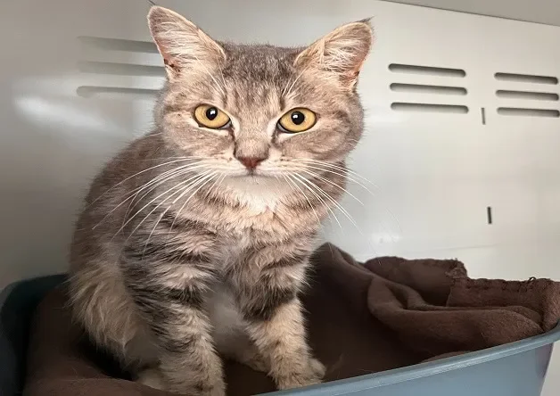 BLANDINE (réservée)