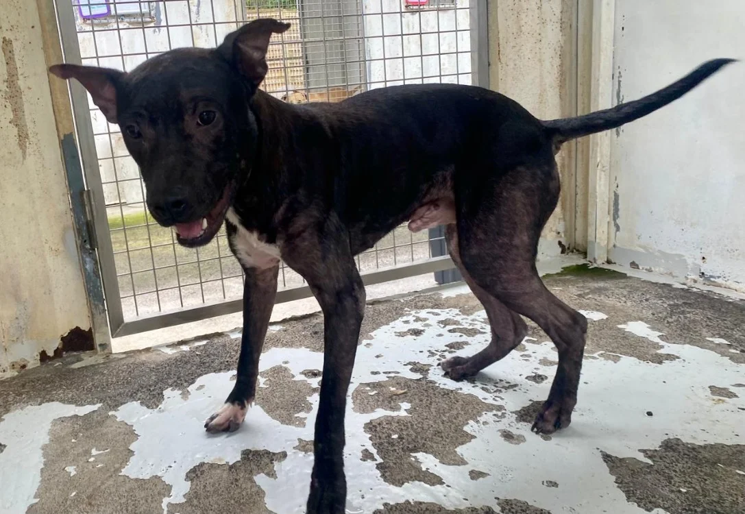 RALPH QCN (j'ai trouvé ma famille)