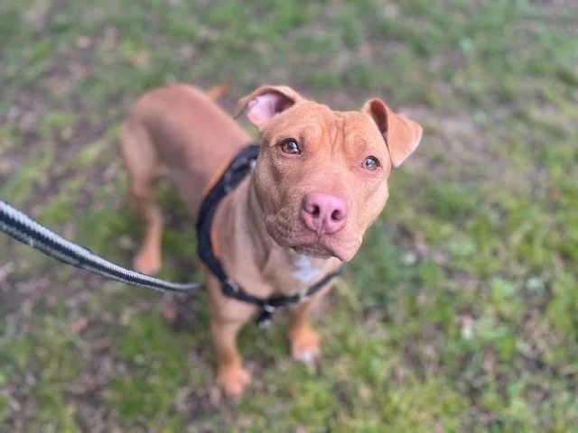 OAA19962 CHAAC (réservé)