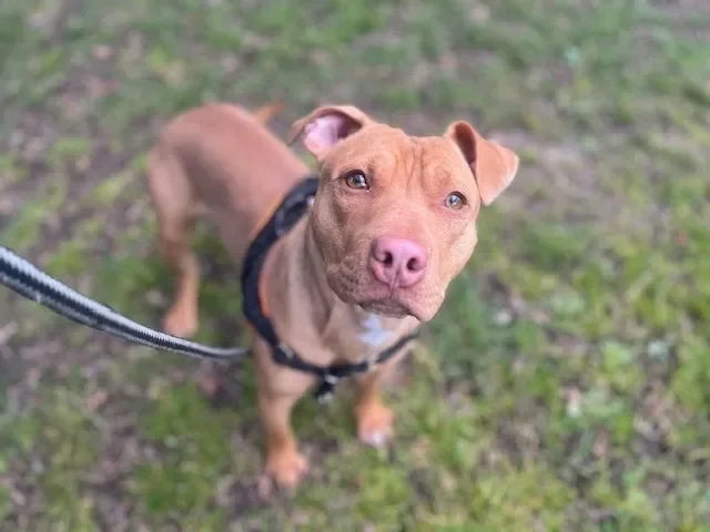 OAA19962 CHAAC (réservé)