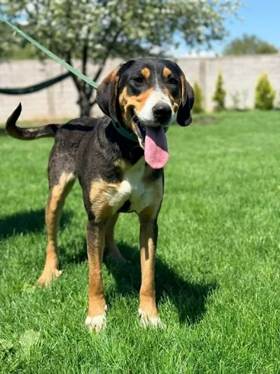 BABY, adopted