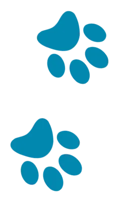 Altesse de Crépy « Adoptée », adopted