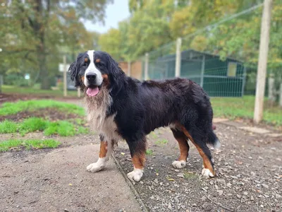 TWIST (réservé), adopted