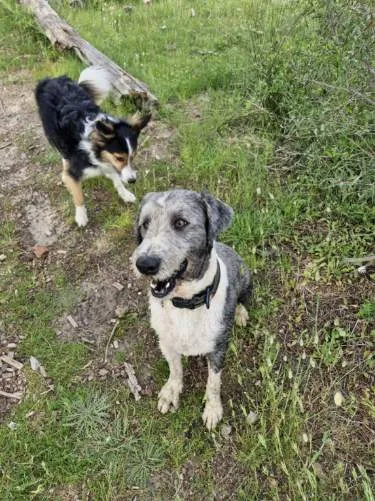 ENDY en famille d'accueil de longue durée., adopted