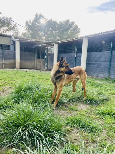 Alonzo *réservé*, adopted