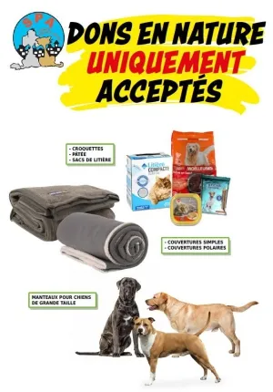 Comment nous aider, adopted