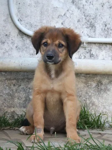 Thiakry, adopted