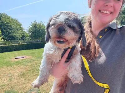 Woody, adopted