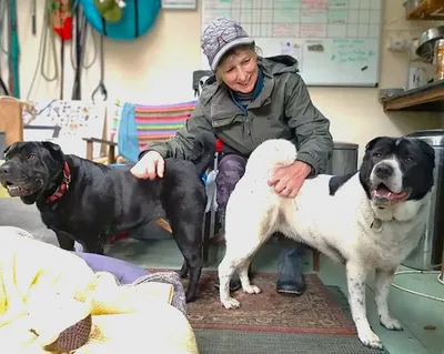Millie Tess, adopted