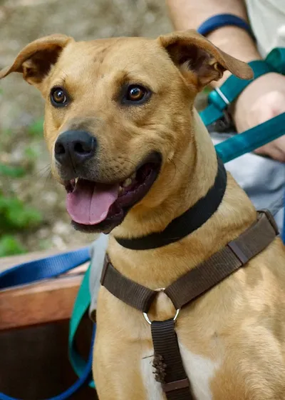 Danny, adopted