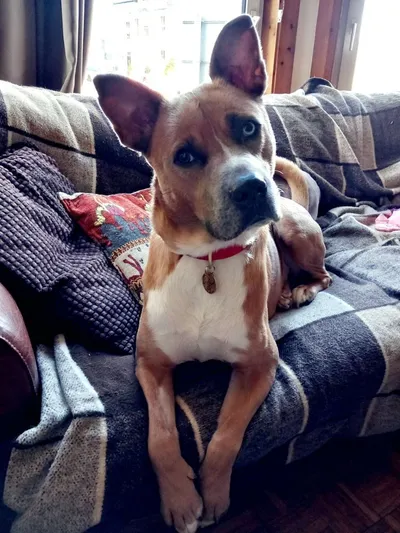 Vincey Huskey, adopted