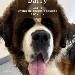 Barry, adopted