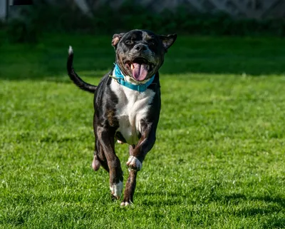 Colby, adopted