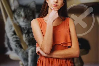 Lo fai ogni giorno col tuo gatto ma è l’errore più grave (e comune) che tu possa fare: smetti subito, adopted