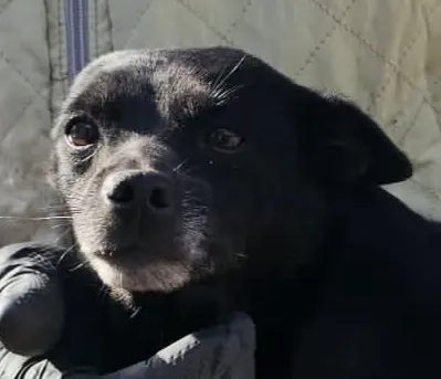 NURINA, 4 anni, Tg Piccola, adopted
