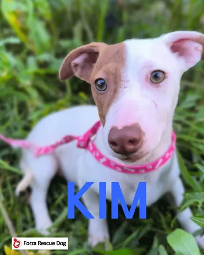 Riservato – Kim, adopted